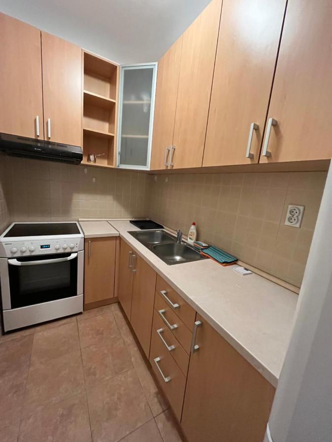 Apartment Ana - City Center Belgrado Exterior foto